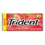 Trident-Fresa-30.6-g