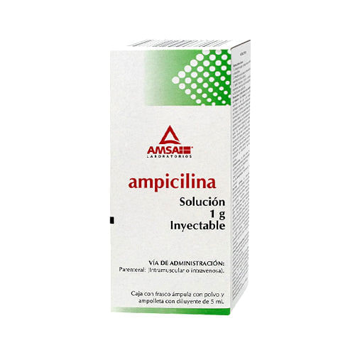 Ampicilina Solucion Inyectable 1 g 1 Ampolleta de 5 mL - Farmacias Klyns