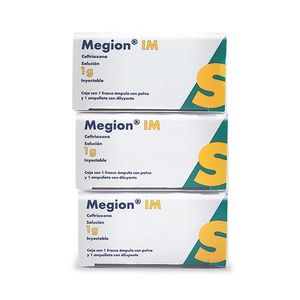 Megion IM Solucion 1 g 1 Ampula 1 Ampolleta Tripack