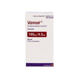 Vannair Aerosol 160 mcg / 4.5 mcg 120 Dosis