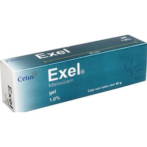 Exel Gel 1.0% Tubo con 40 g