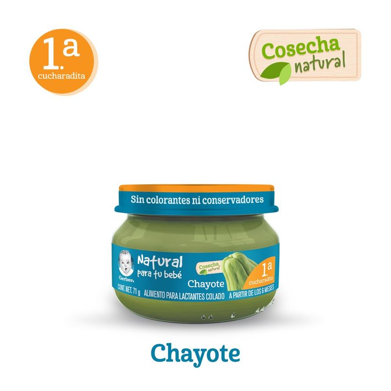 Papilla-Gerber-Et-1-Chayote-71-g