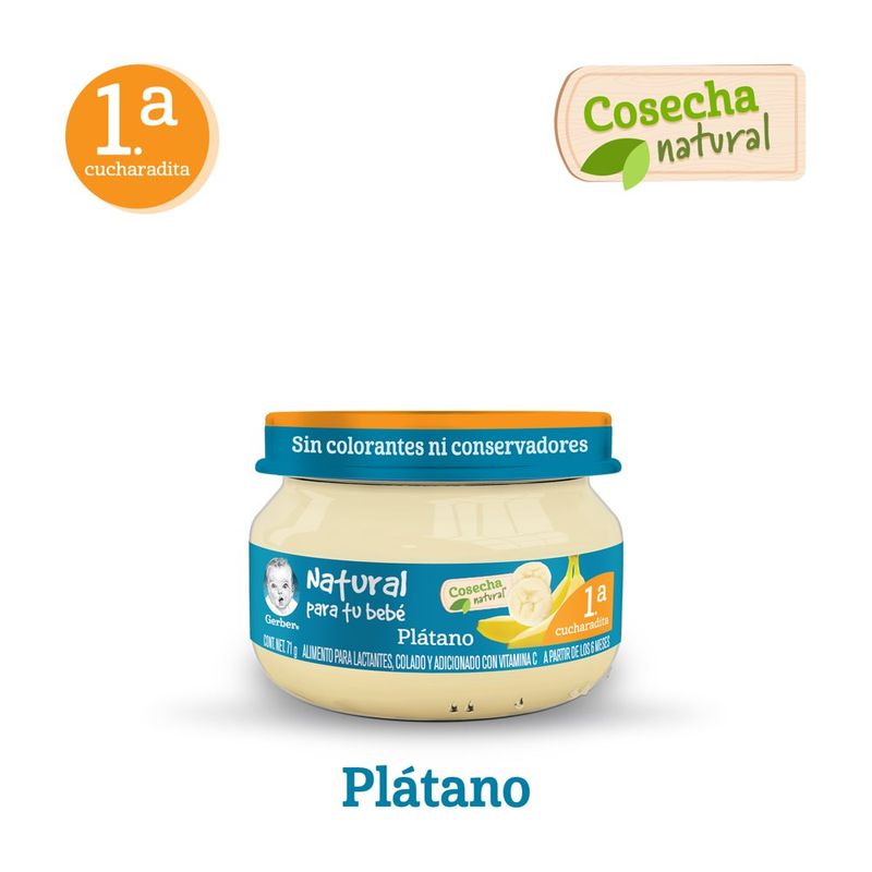 Papilla-Gerber-Et-1-Platano-71-g