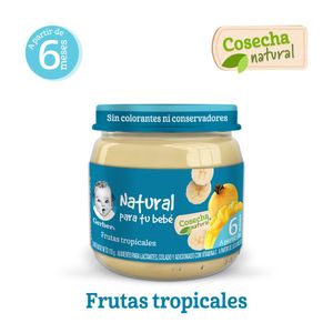 Papilla Gerber Et 2 Frutas Tropicales 113 g