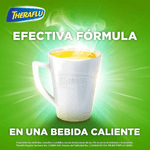 Theraflu-Exthegran-650-mg---20-mg---10-mg-6-Sobres