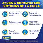 Theraflu-Exthegran-650-mg---20-mg---10-mg-6-Sobres